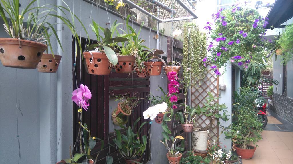 Green Coco Homestay Хойан Экстерьер фото